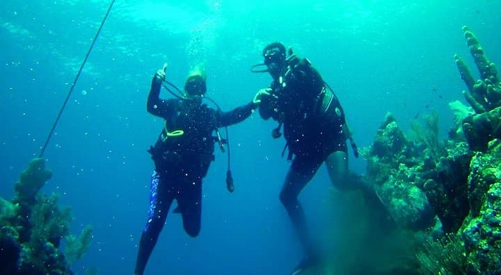 2 Tank Roatan Fun Dive, Boat Sightseeing Tour, including ground transportation