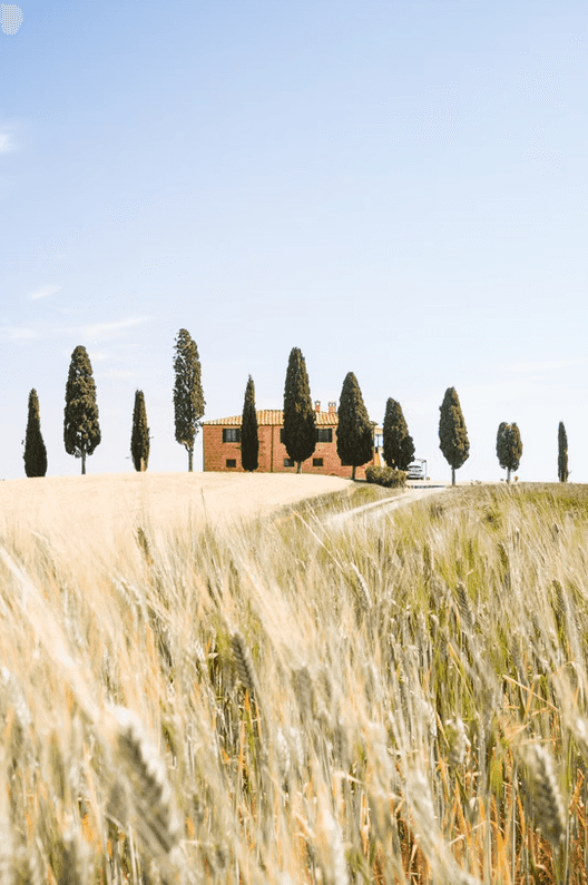 Self Guided Tuscany Bike Tour with pic nic