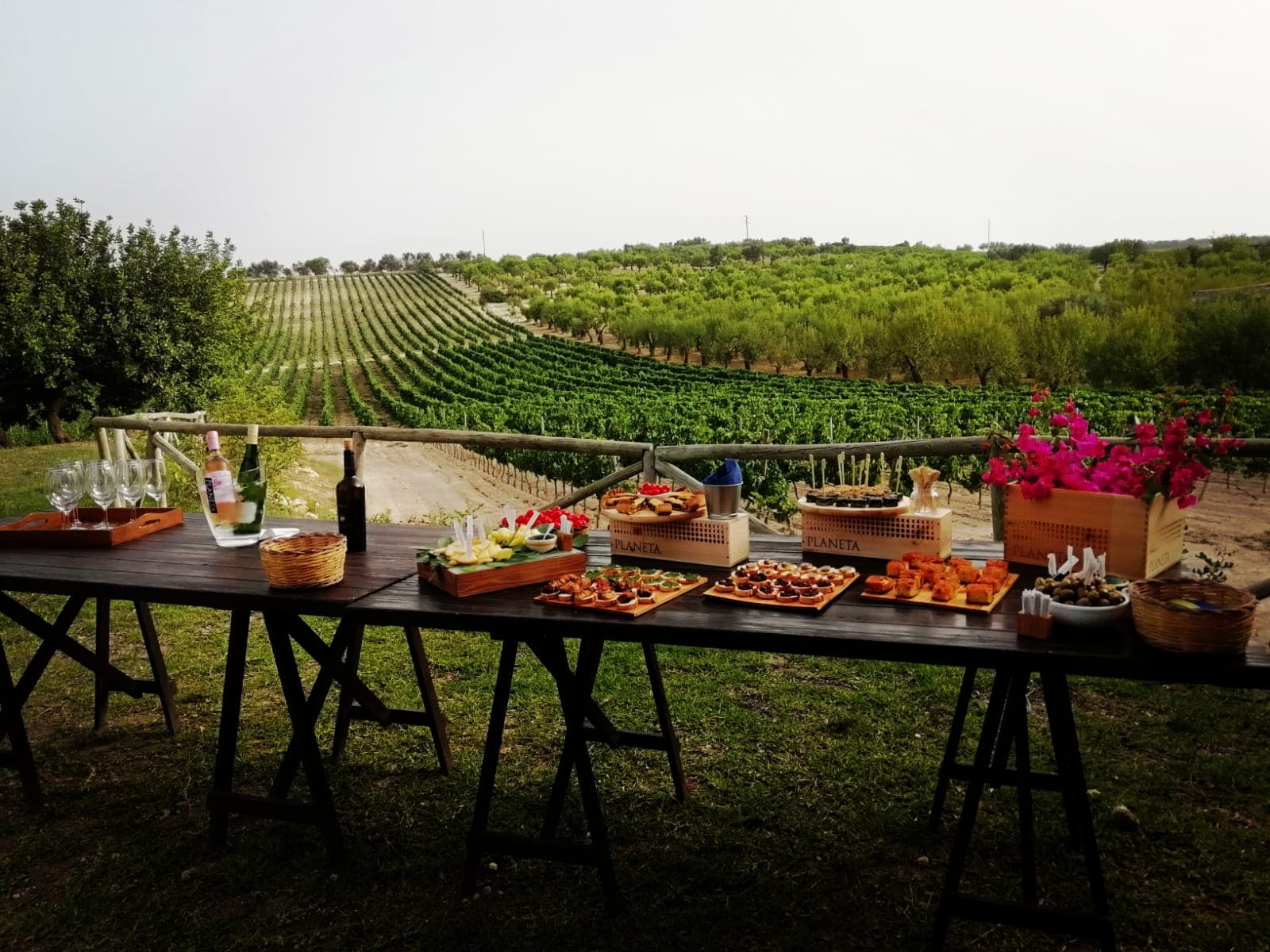 Noto, Wine Experience & old Tuna fishing village (from Siracusa)