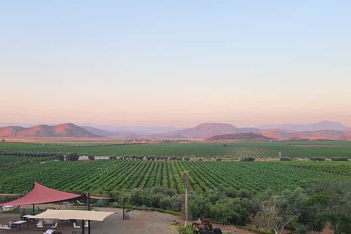 Private Valle Wine Experience: All Wine Tastings Included