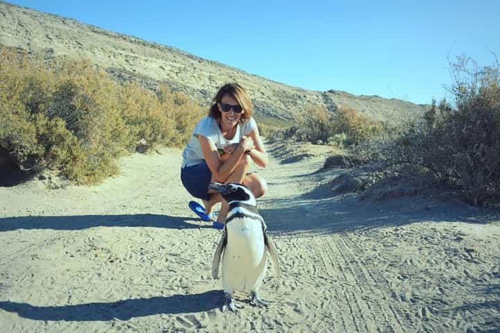 Patagonia Ranch and El Pedral Penguin Colony Tour from Puerto Madryn