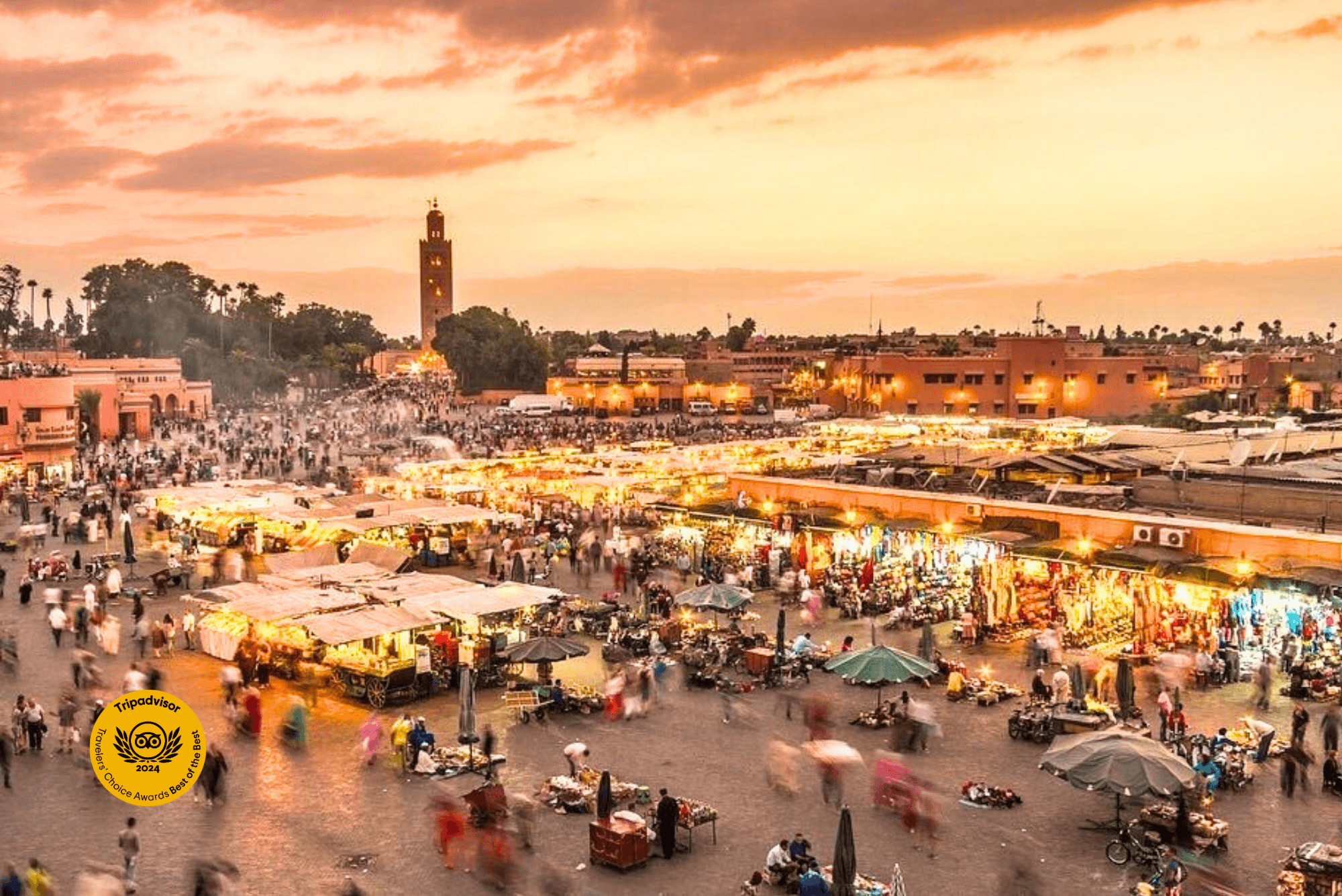 Marrakech day Trip from Casablanca with Camel Ride