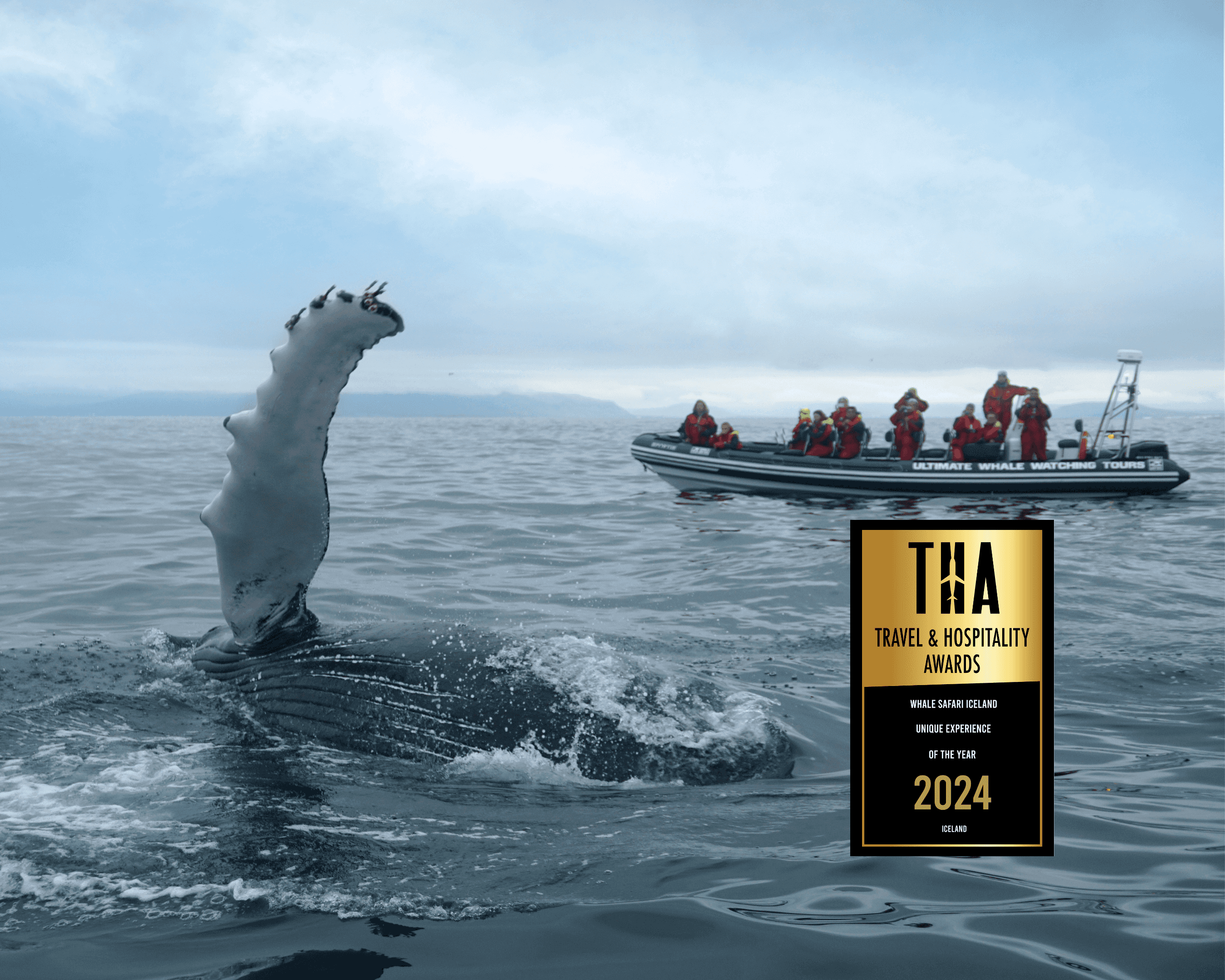 Whales, Puffins & Reykjavík