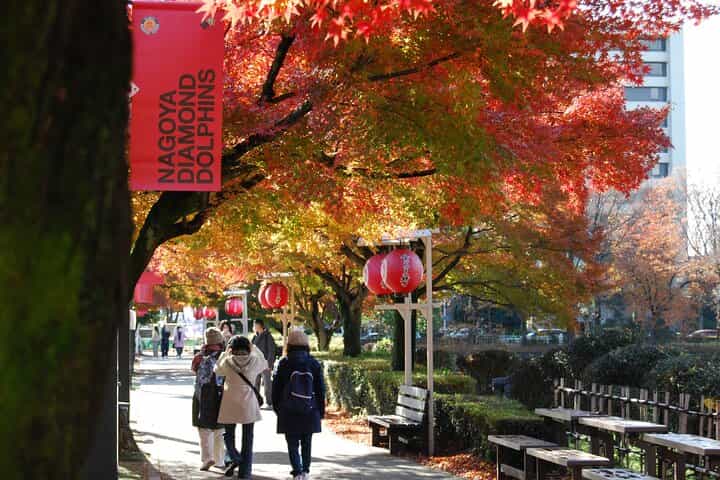 Nagoya Walking Tour Experience