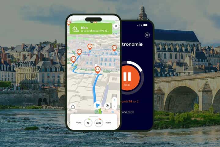 Blois: 1h45 audio guided walking tour and 22 audio commentaries
