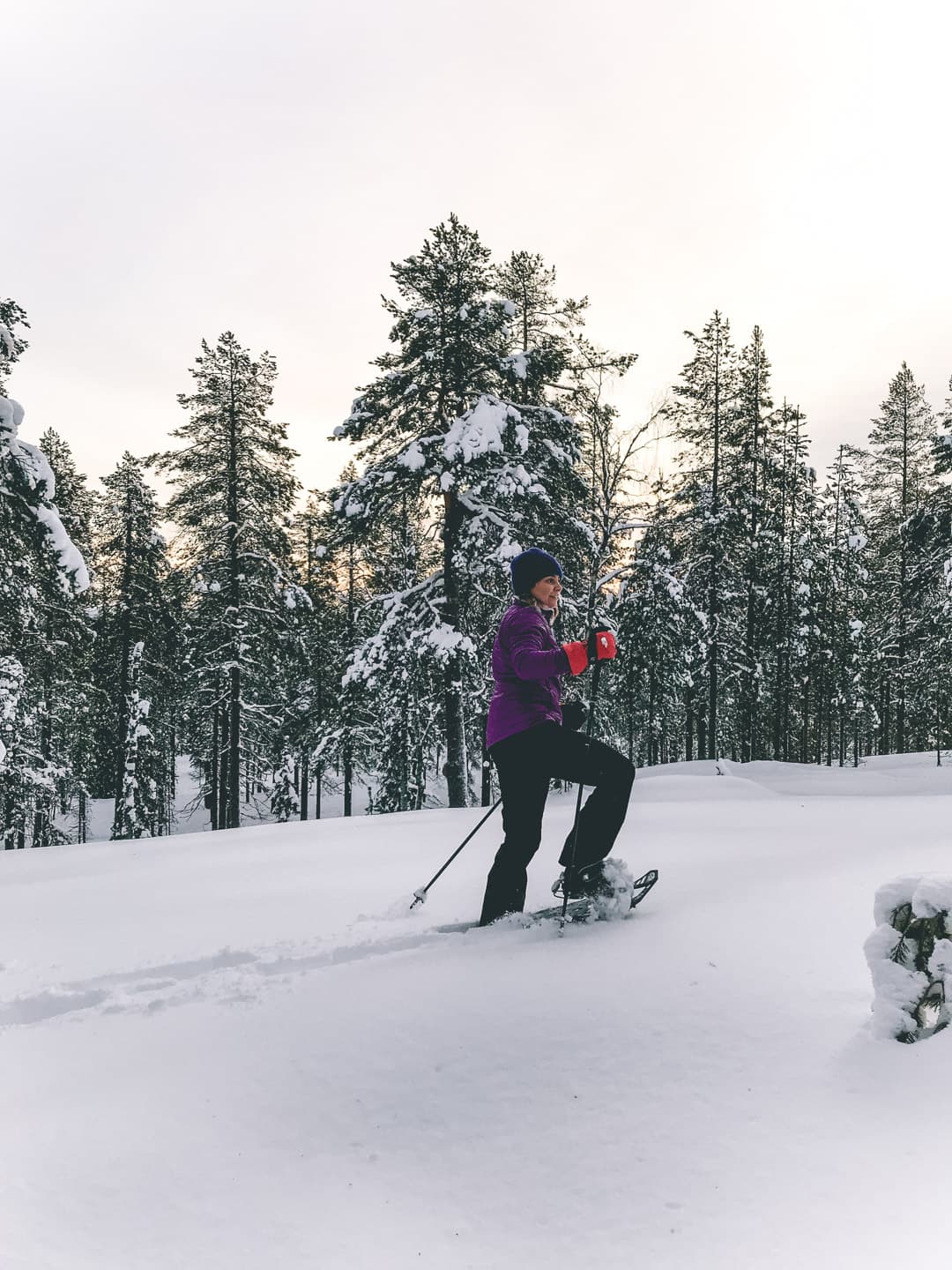 Private Snowshoeing Tour In Luosto