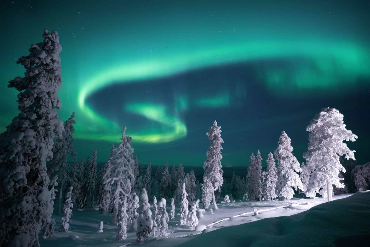 Rovaniemi: Family Aurora Evening Tour – Easy & Affordable Northern Lights Experience