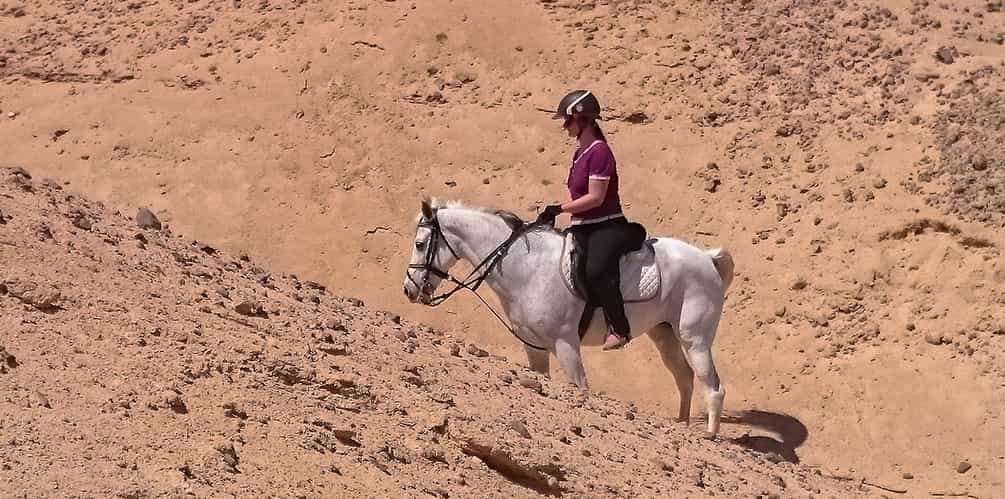 Sharm El Sheikh Horse Riding Safari Trip
