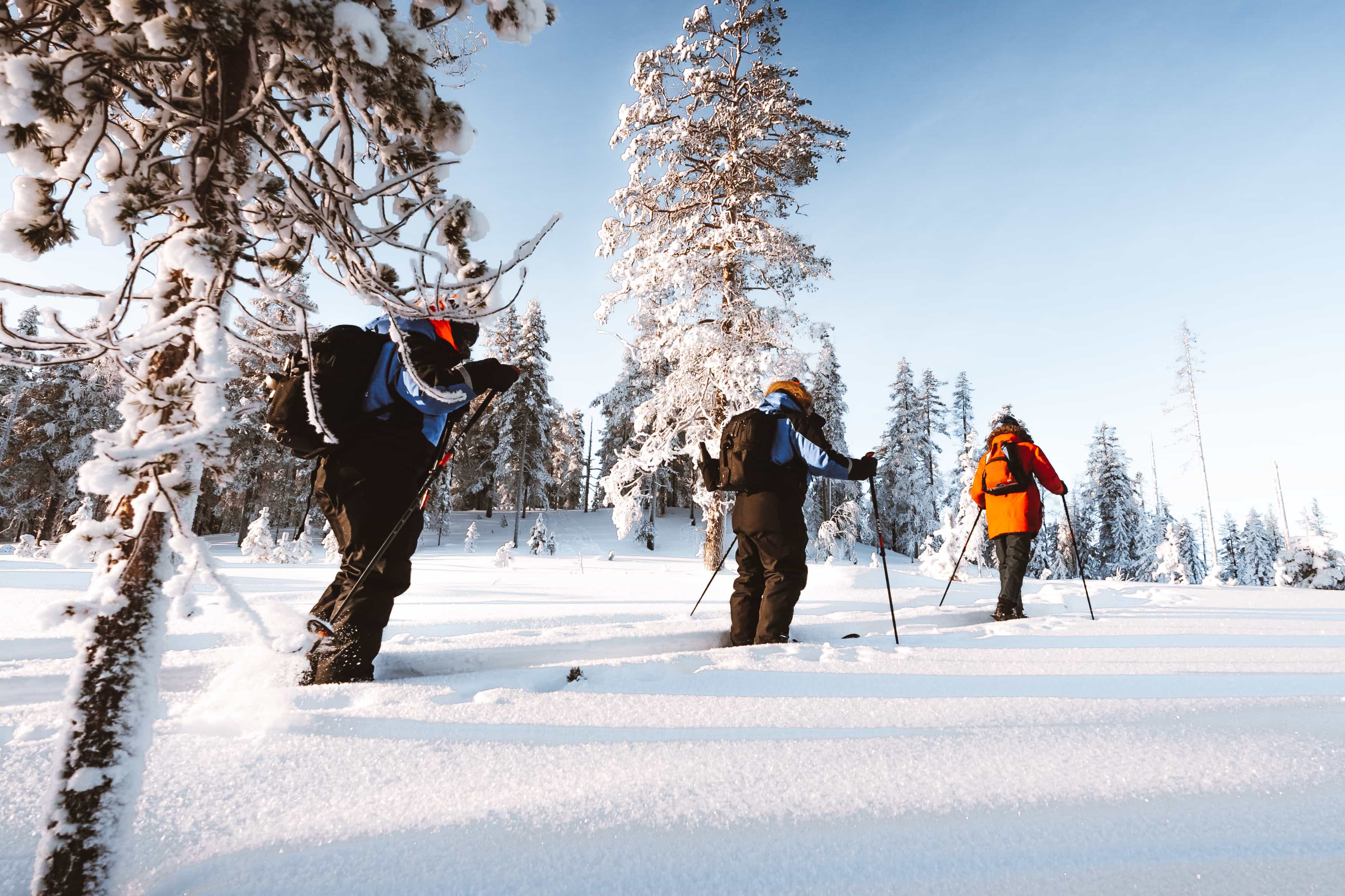 Ski Trekking Safari in Lapland