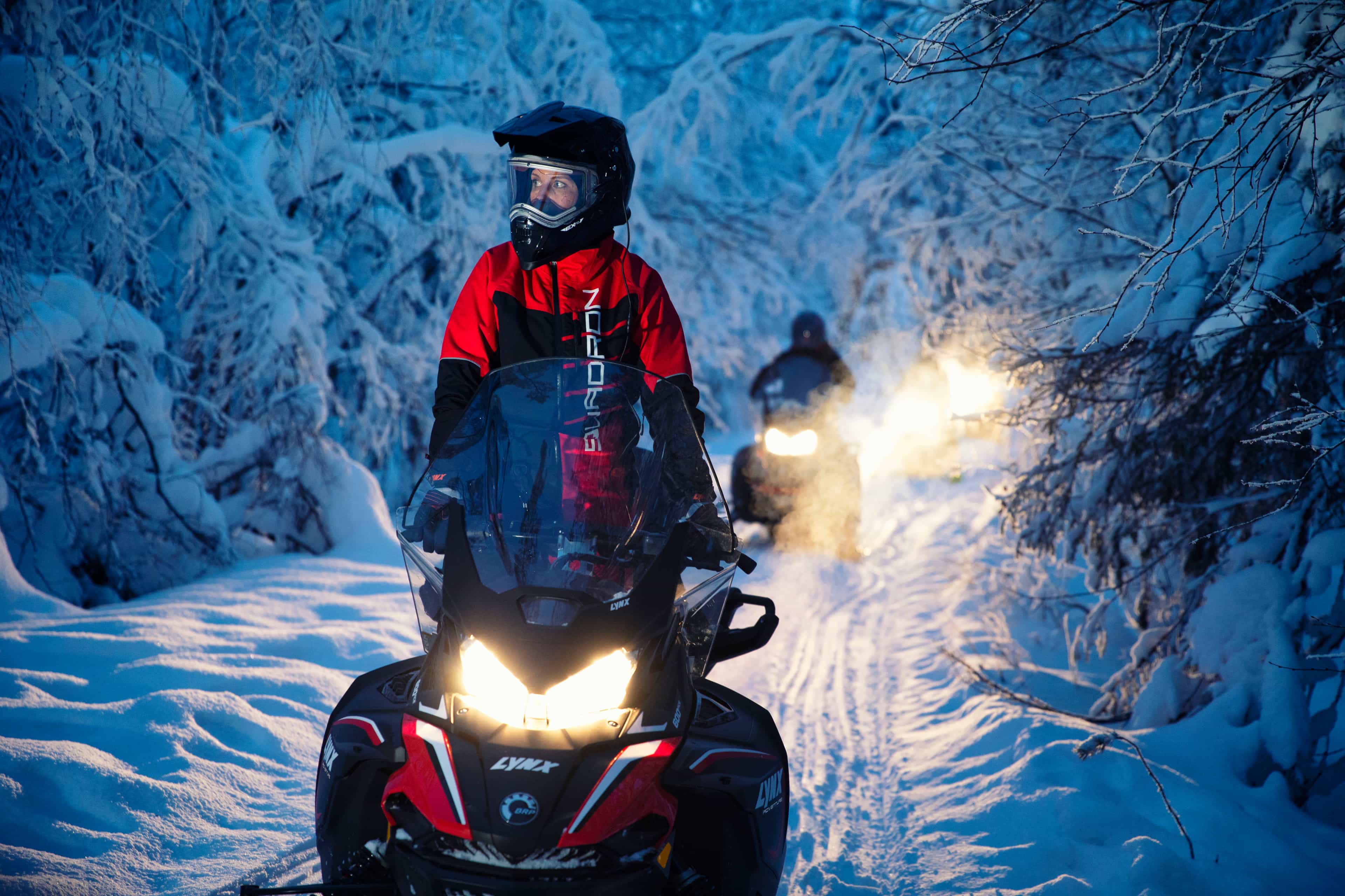 Northern Lights Snowmobile Tour