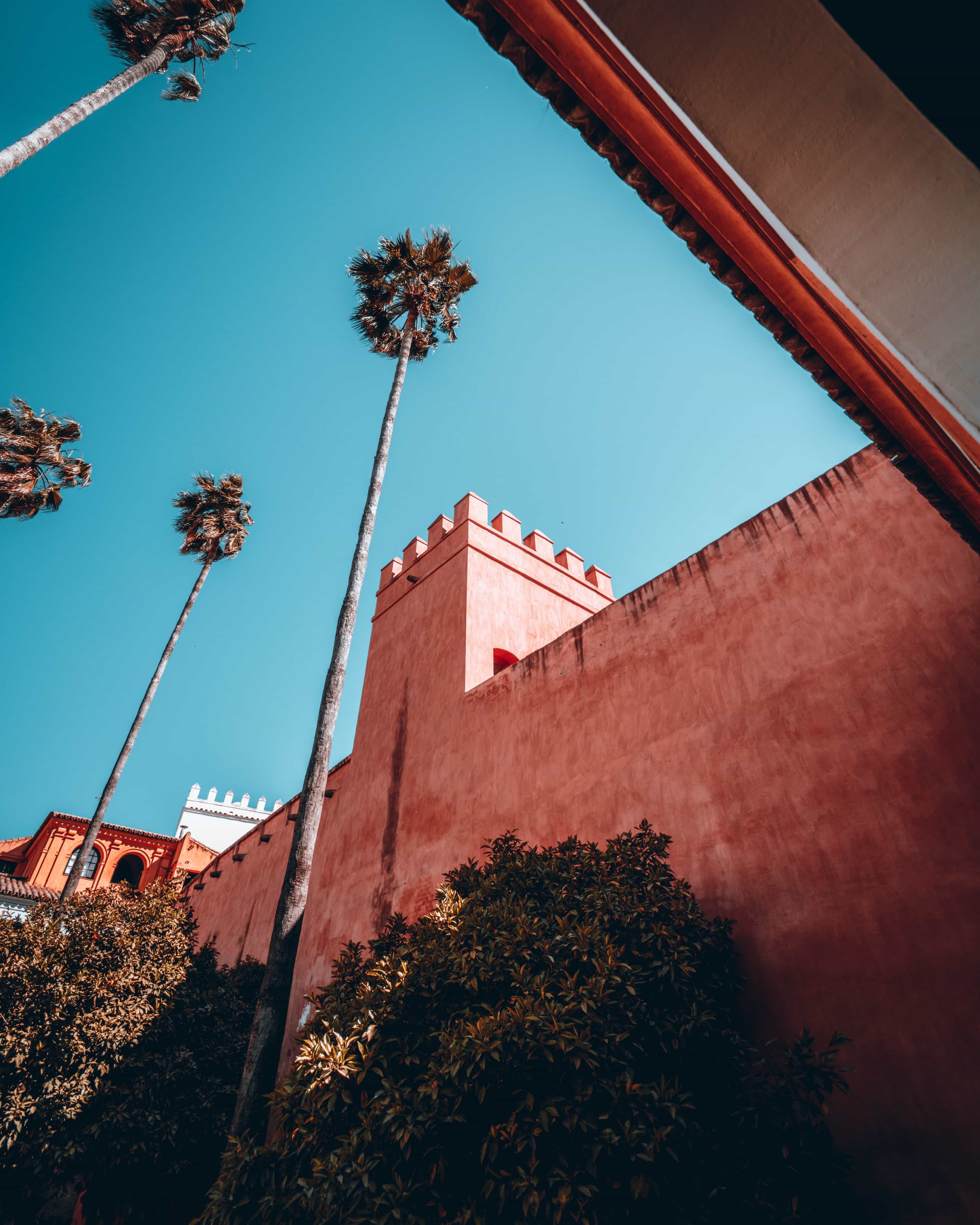 Seville Cathedral and Alcazar skip the line Private Tour