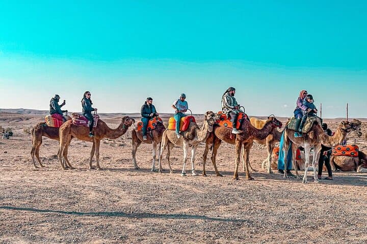 Marrakech: Agafay Desert Dinner Show with Sunset Camel Ride