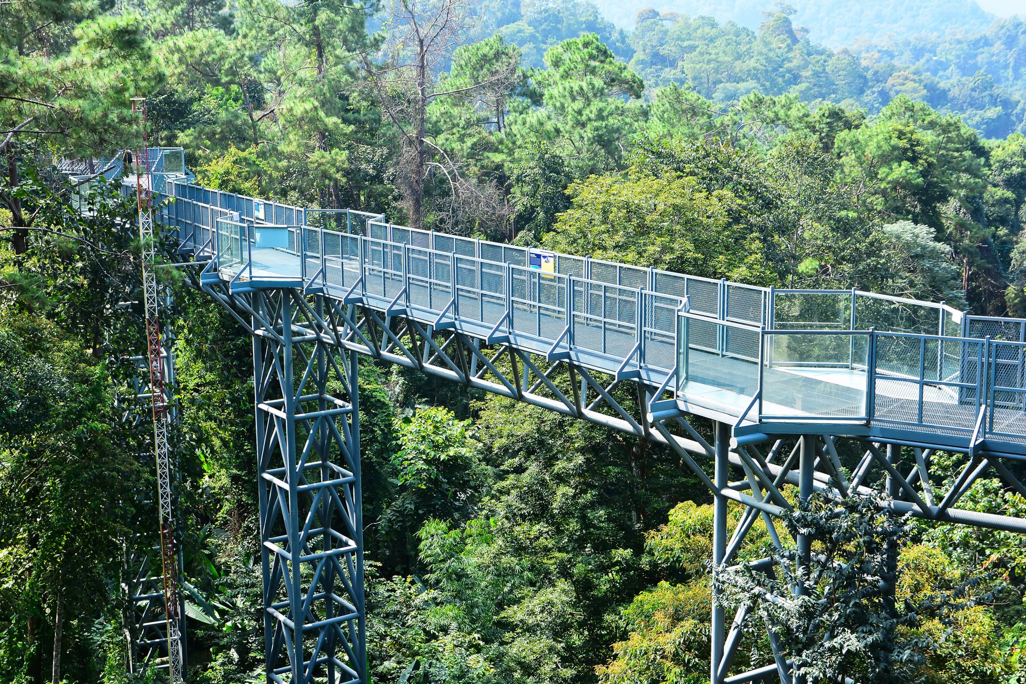 Chiang Mai Essentials