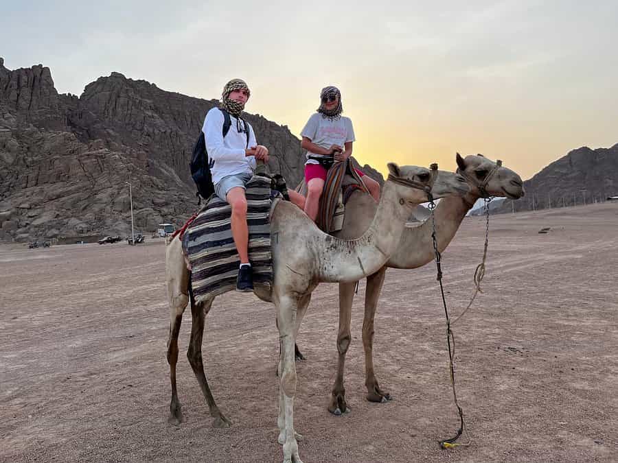 sharm el sheikh safari trip