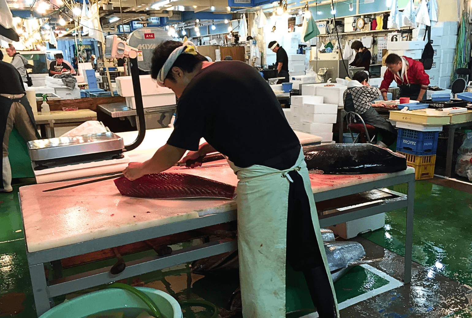 Nagoya Fish Market Early Morning Private Tour | Market Walk & Breakfast
