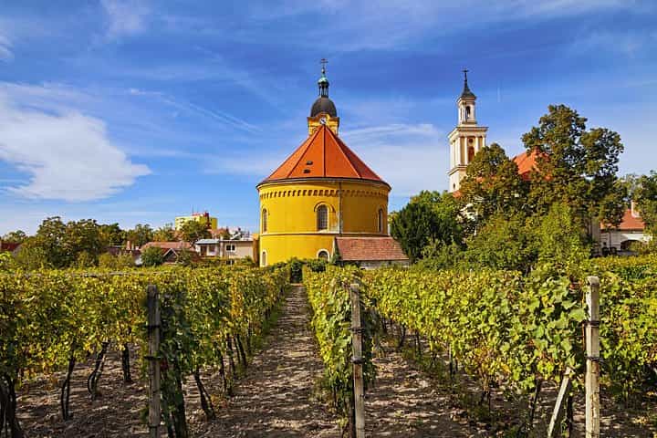 Small Carpathian Wine Tour