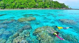 Khao Lak : Surin Islands Snorkeling Day Trip with Lunch