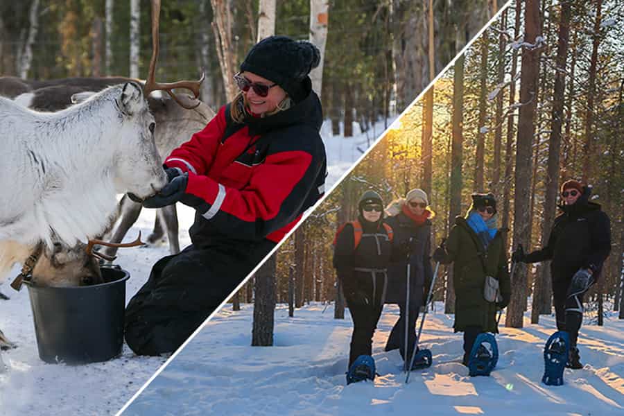 Snowshoeing to a Private Reindeer Forest & Reindeer Herder’s Day with Lunch, Levi