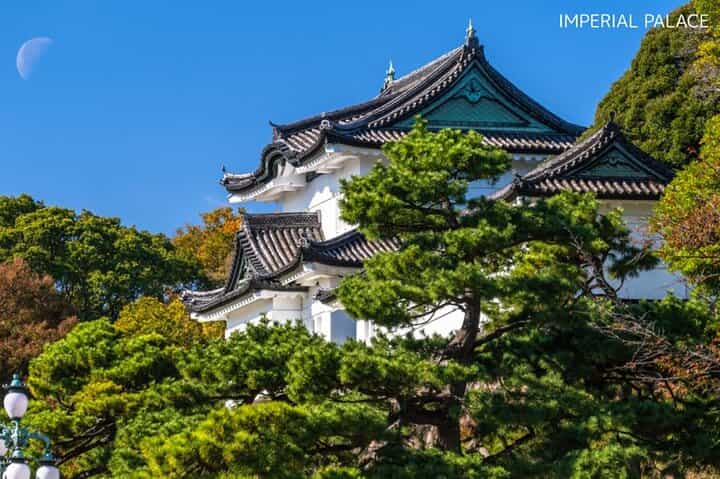 Anywhere you like! Tokyo Customized Tour in 3 hours