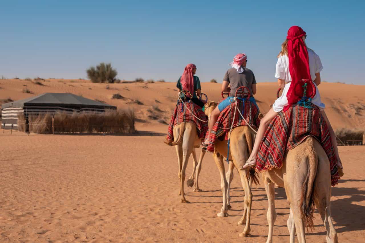 Dubai Morning Heritage Falconry & Nature Safari