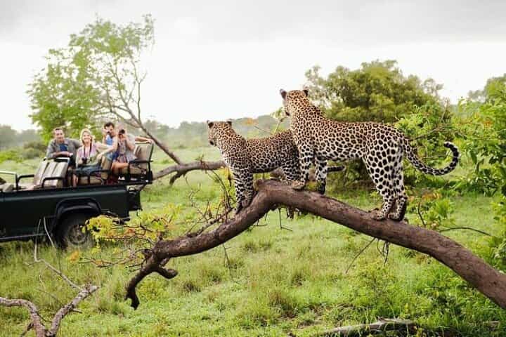 Sri Lanka:5-Day Wildlife Tour with Entry & Adventures Fees