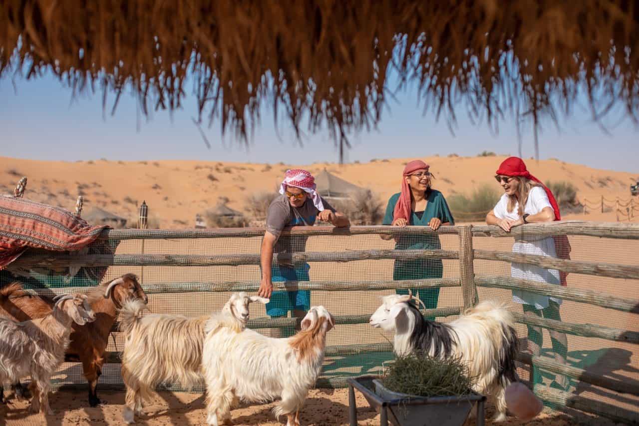Dubai Evening Heritage Safari By Camel Caravan