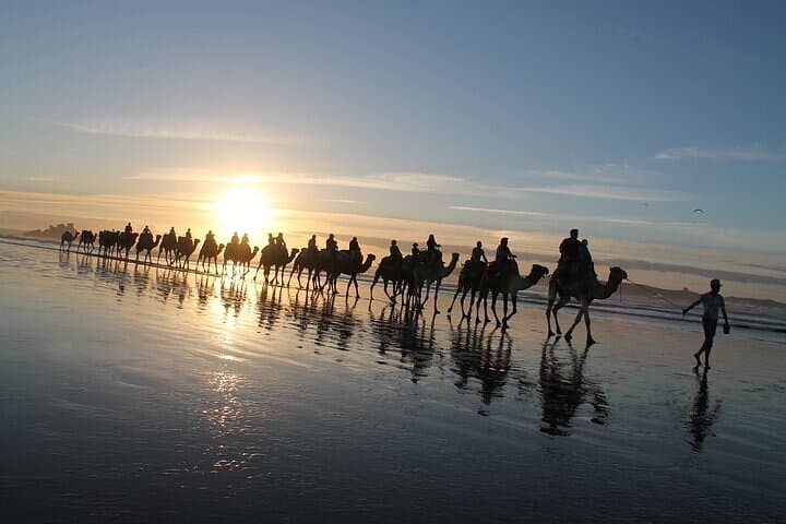 Essaouira P13: 2h quad + 2h camel free transfer