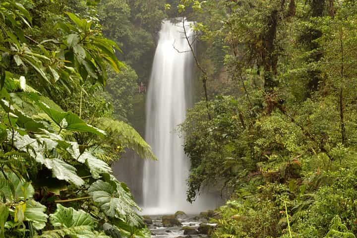 Private Transfer From San Jose to Cahuita With 2 Stops