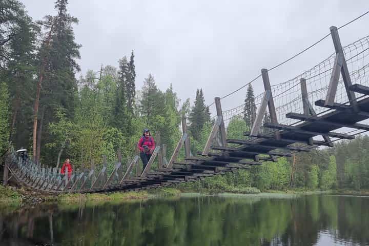Pieni Karhunkierros Little Bear's Trail Guided Hike in Oulanka