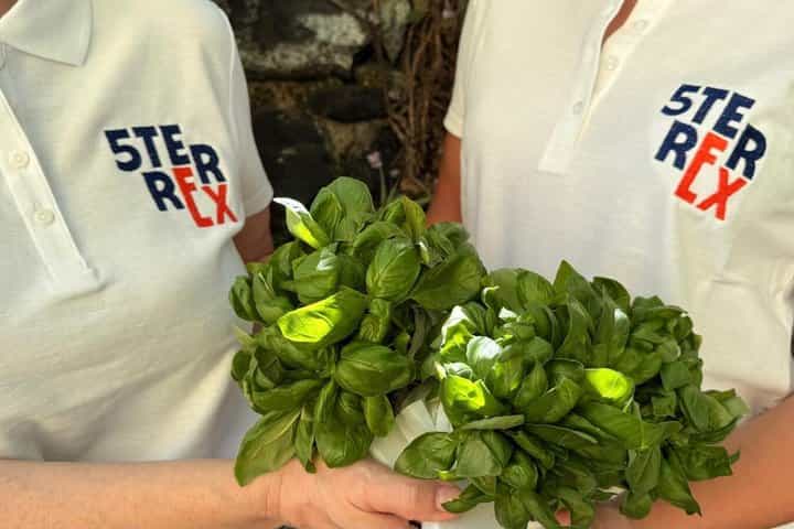 Cinque Terre, Authentic Pesto Cooking Class Wine Tasting
