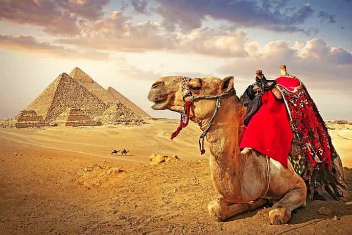 Cairo Pyramids & Grand Museum by Bus from Sharm El Sheikh