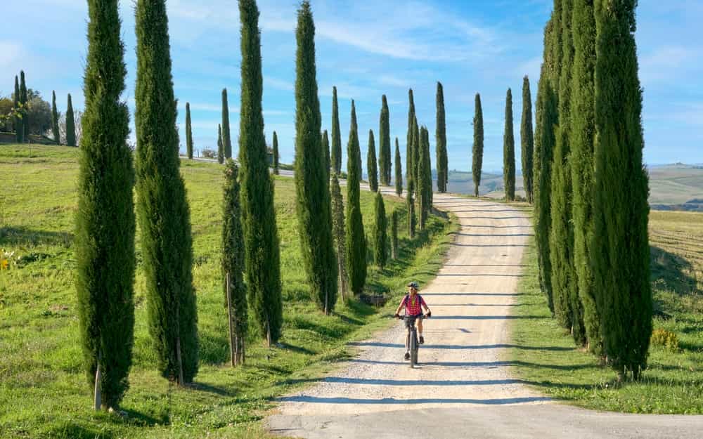 E-Bike Adventure in Chianti: Discover the Landscapes of Tuscany with Lunch and Wine Tasting