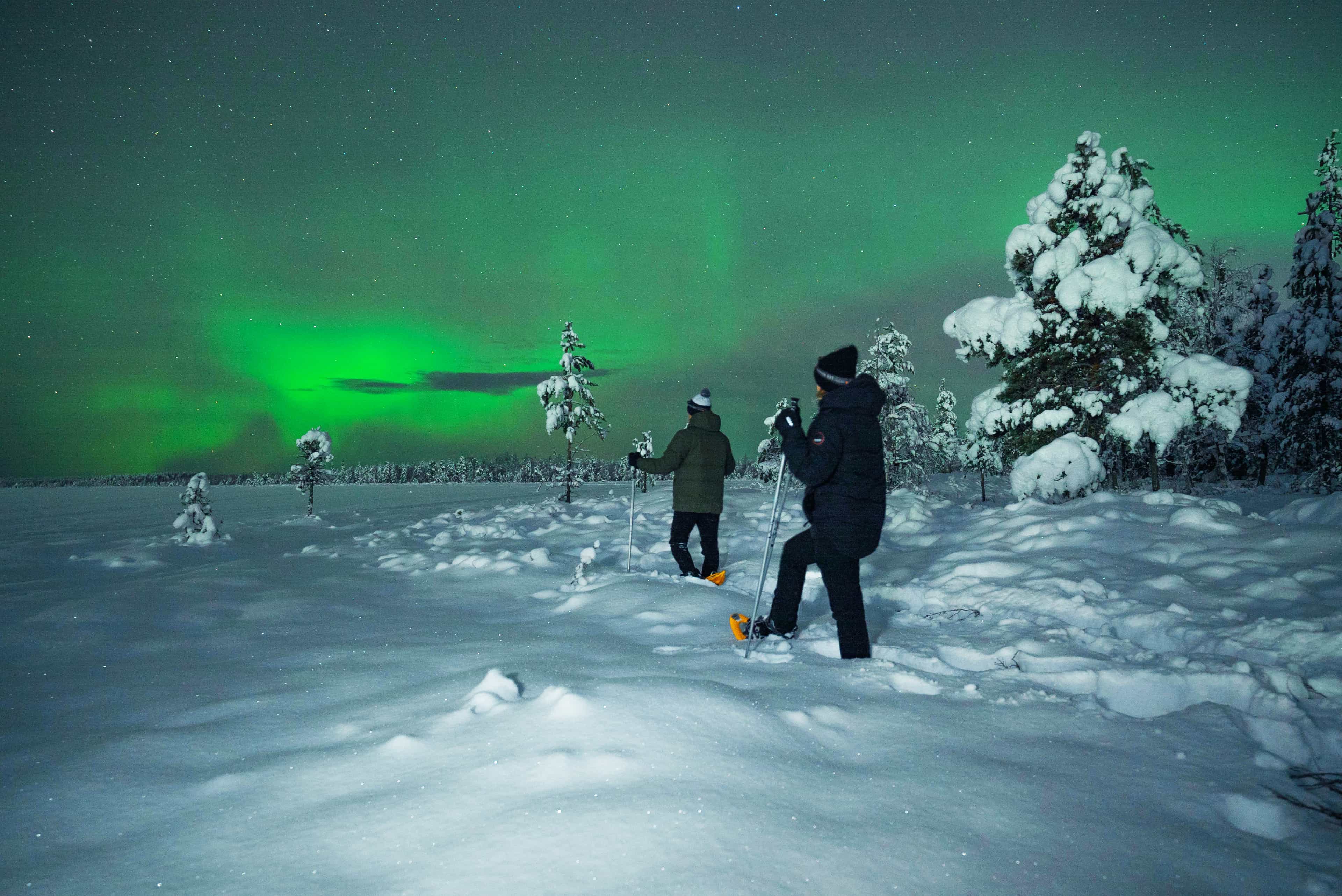 Night Snowshoeing — search for the Aurora, Levi
