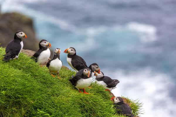 Book the entire boat