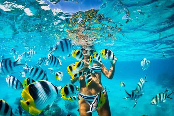Catalina Island Day Trip from Punta Cana: Snorkeling included