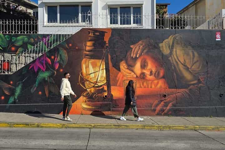 Santiago to Cruise Port and Valparaíso Tour - 4-Pax Deal