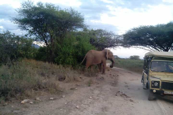 12 Days Kenya and Tanzania Budget Private Safari from Nairobi