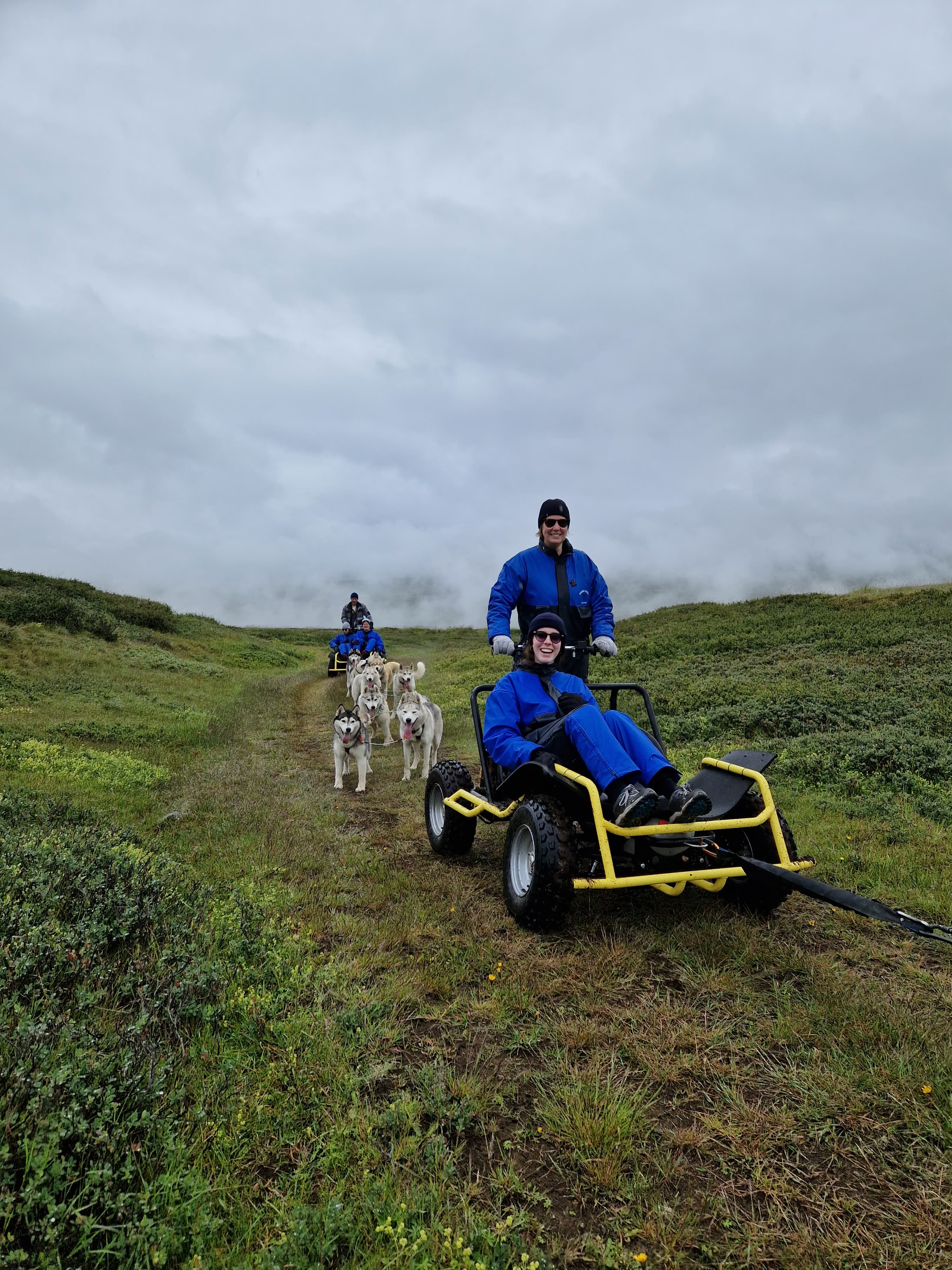 Siberian Husky dry land Dog sledding