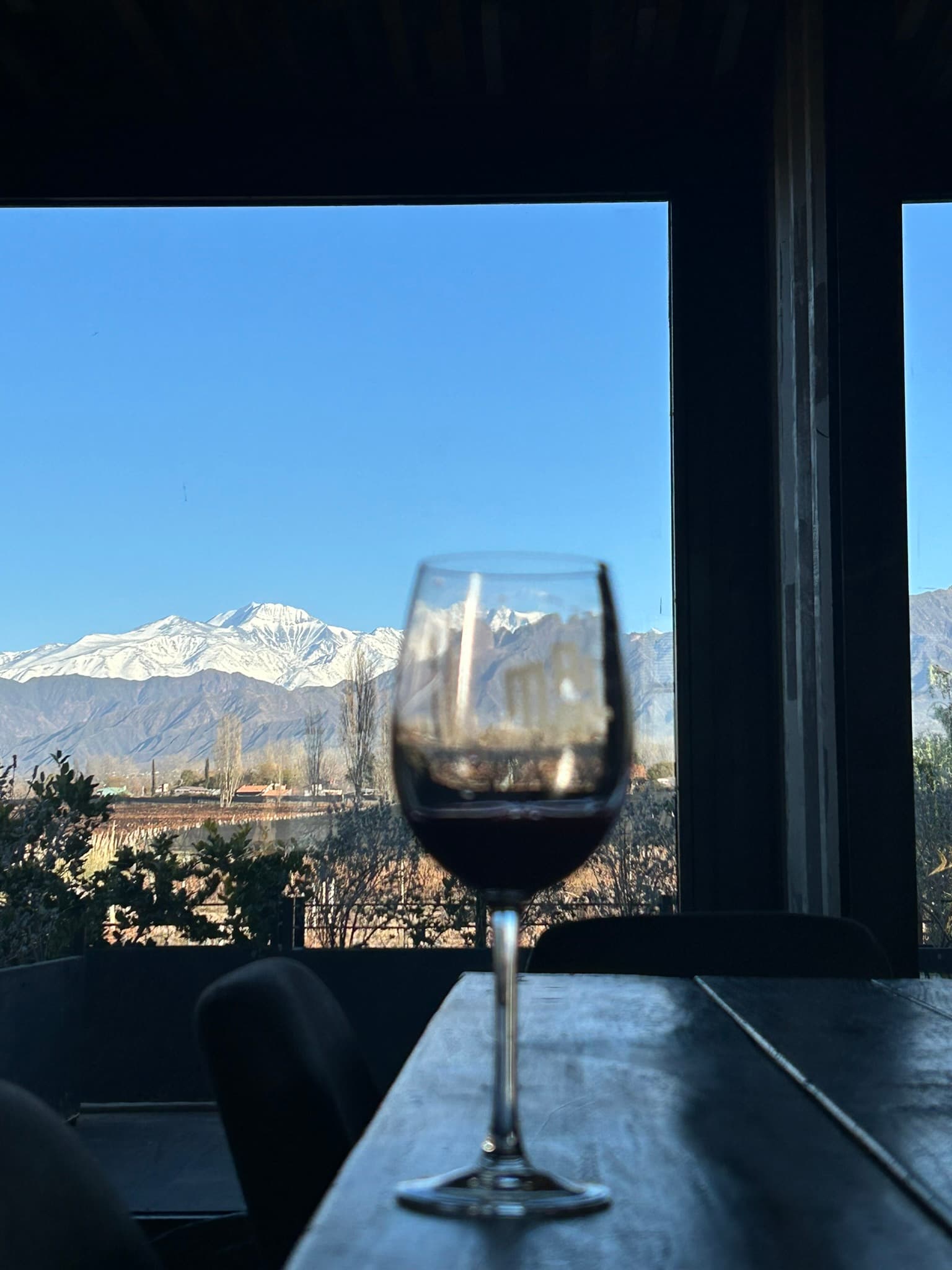 Wineries tour & Lunch + Asado Experience Dinner!