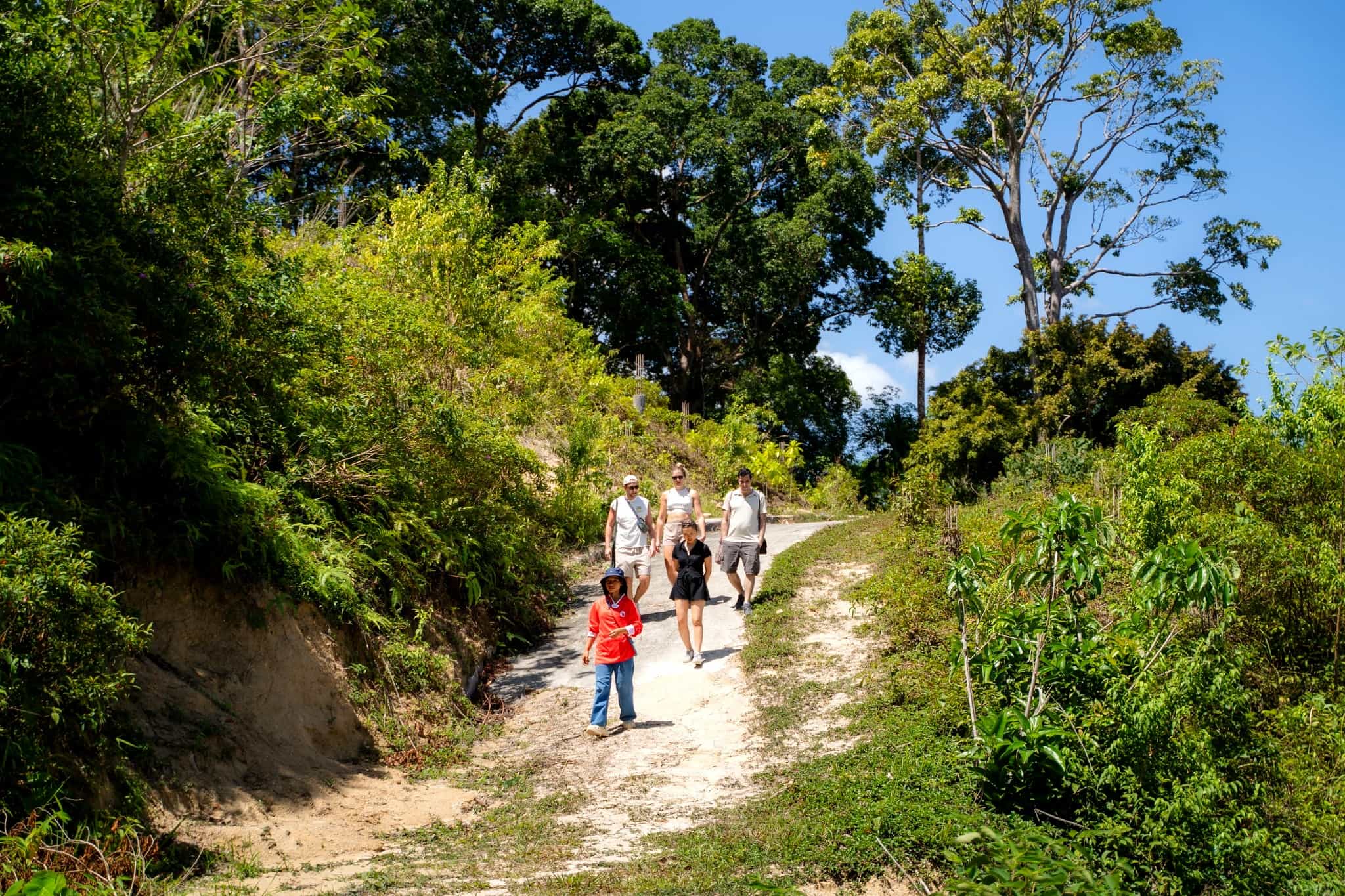 Phuket Express Elephant Learning Visit with Hotel Transfer