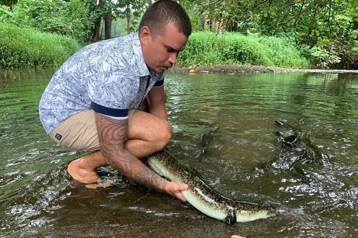 4x4 Moorea Safari Tours : Private tours