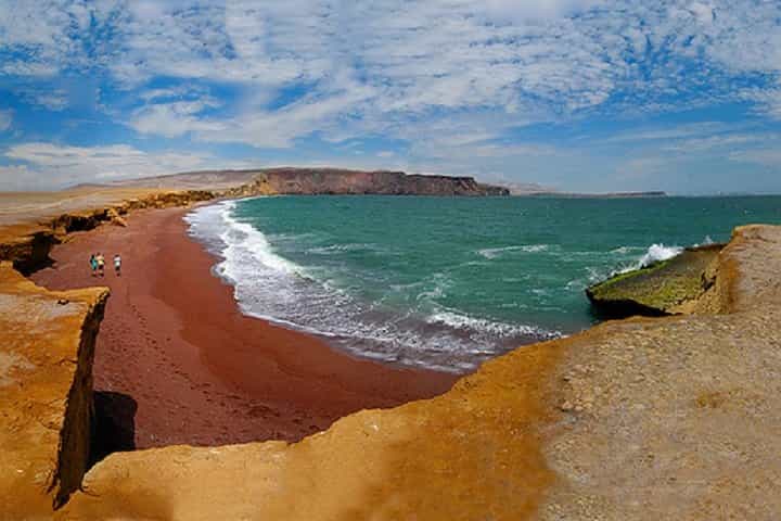 Paracas with Ballestas Islands Tour Package