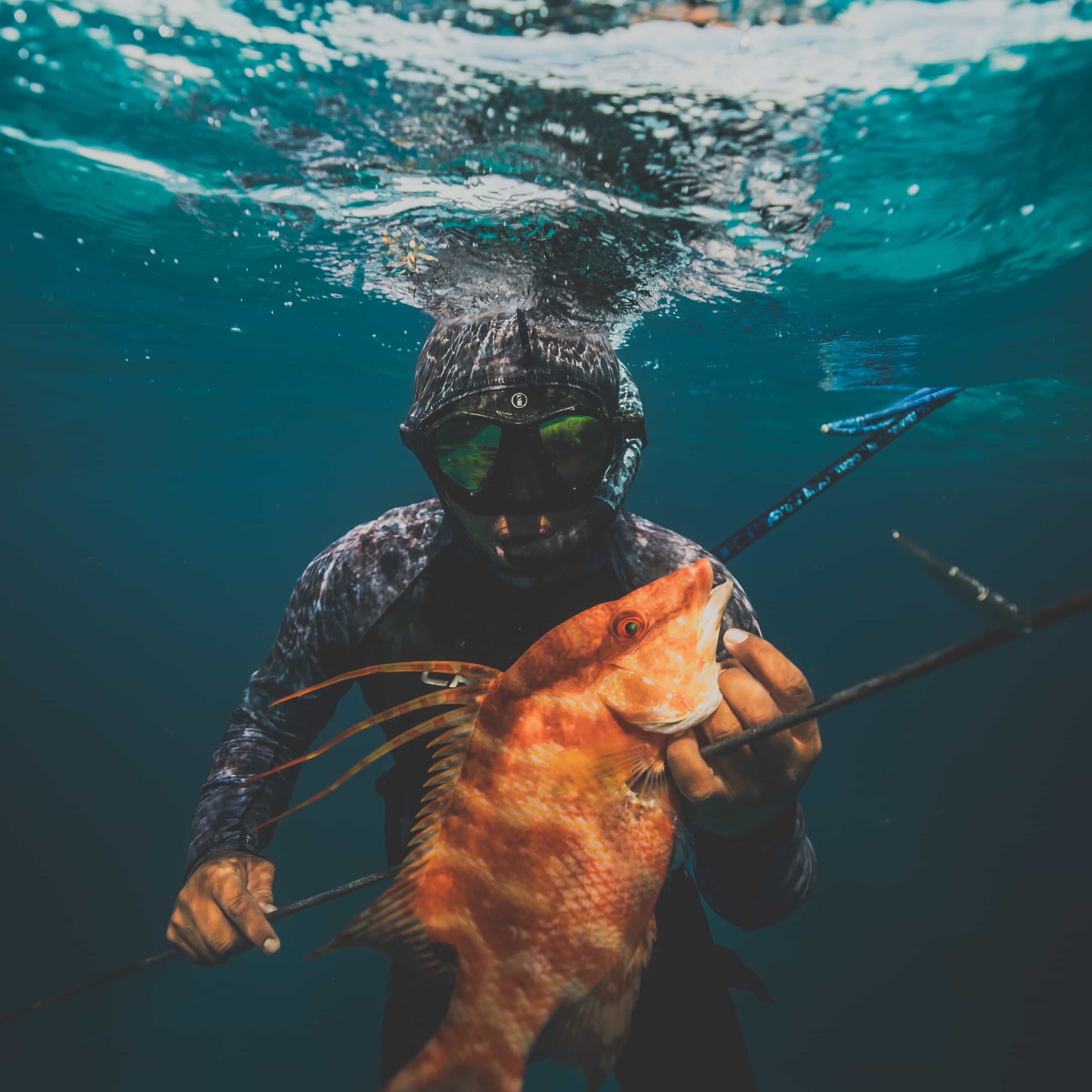 Spearfishing