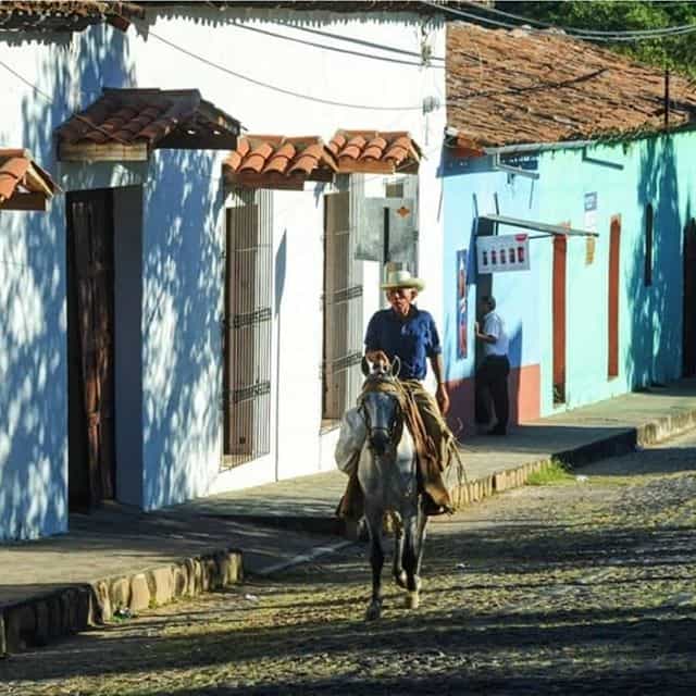 Surf Colonial