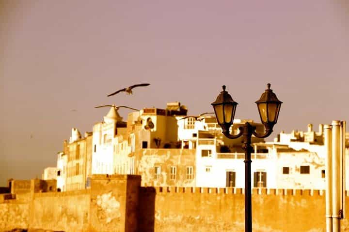 From Agadir: Private Guided Day Trip to Essaouira