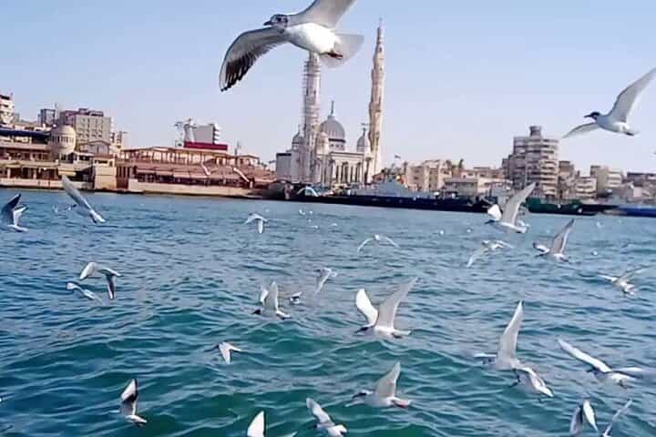 Private Full Day Tour to Port Said From Cairo