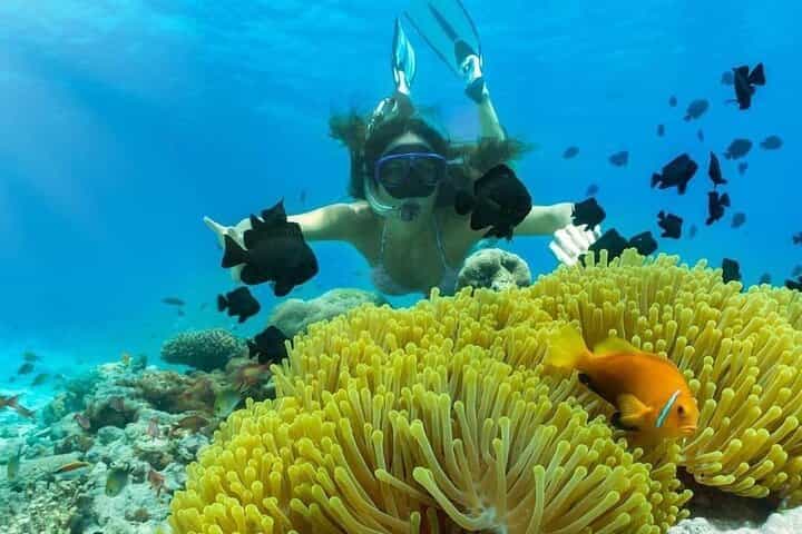 Private Snorkeling Blue Lagoon Beach