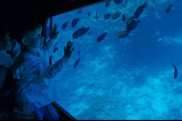Semi Submarine under water Tour With Transfer in Sharm El-Sheikh