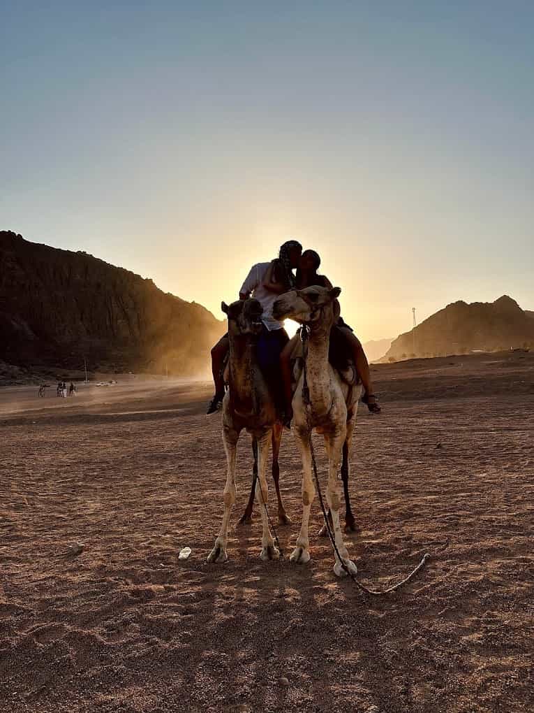 Sharm El Sheikh: ATV, Camel Ride with BBQ Dinner and Show