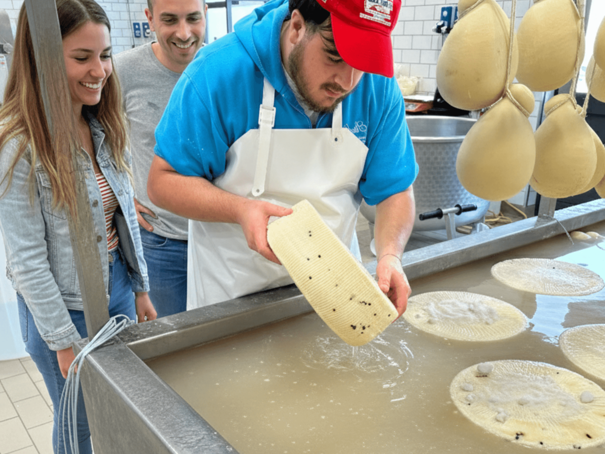 Mozzarella & Provola Cheese Production Visit near Catania